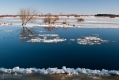 088_Biebrza - marzec 2013